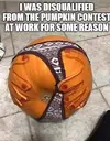 1757401532039.webp