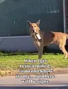 1757519132330.webp