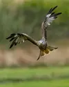 1757604310138.webp