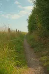 1000071668.webp