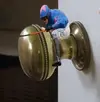 Knob Jockey.webp