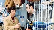 dead-parrot-monty-python-creditallstar-bbc.webp