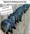 1758402515988.webp