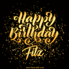 fitz-10.gif