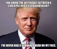 FB_IMG_1484166637845.webp