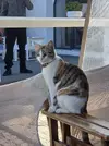 1000011967.webp