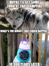 Dog 21.webp