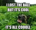 High 07.webp