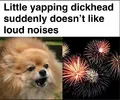 1761247866401.webp
