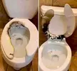 -Bog.webp