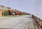 1000009395.webp