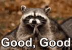 Good Good.GIF