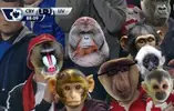 Crystanbul - Fans.webp Crystanbul - Fans.webp