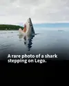 1762361898946.webp