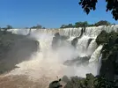 1000030482.webp