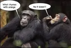 32B46393-340A-48D0-897D-D30EB4BA4A56.webp