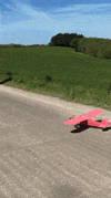 crahs-crash.gif