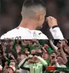 1763070339481.webp