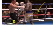 boxing.webp