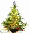 6B3B685C-64D2-4ED7-8780-90373F68A206.webp