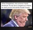 1763446894994.webp