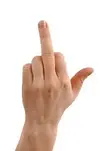 1763475654711.webp