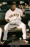 san-francisco-giants-barry-bonds-gives-a-thumbs-up-and-a-wink-before-taking-the-field-against...webp san-francisco-giants-barry-bonds-gives-a-thumbs-up-and-a-wink-before-taking-the-field-against...webp