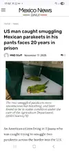 Screenshot_20251119_175234_Chrome.webp