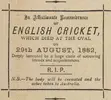 Cricket 04.webp
