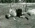 1920.webp