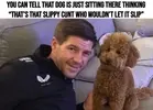 Gerrard - Dog.webp Gerrard - Dog.webp