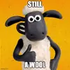still a wool.webp