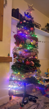 1000057683.webp
