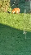 20251212_113521.webp