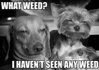 High 06.webp