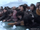 1000032487.gif