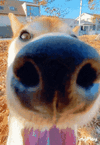 1766572573462.gif