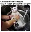 1766770625023.webp