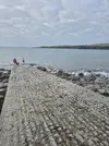 1000031846.webp