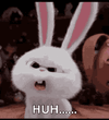 bunny-snowball-saying-huh-gdkf9sqov85wdoi8-527925818.gif