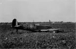 Spitfire SH-W 15 8 40.webp Spitfire SH-W 15 8 40.webp