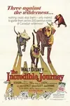 the-incredible-journey-movie-poster-1963-1010248889.webp