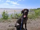 1000021789.webp