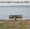1768235290785.webp