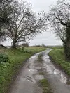 IMG_1172.webp IMG_1172.webp