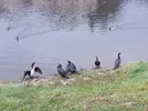20260202_143541.webp