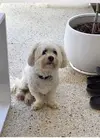1770341583275.webp