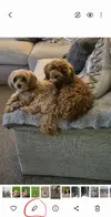 1000002691.webp