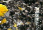1770571141792.gif