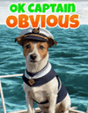 Captain Obvious.gif